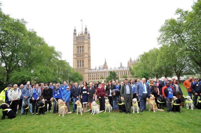 Many guide dogs and their humans in several rows in front of Big Ben and Houses of Parliament