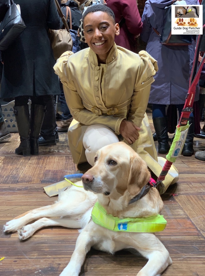 Me guide dog Fletcher in harness lying down in front of the pawsome Ellena Vincent star of Hamilton The Musical London. She's in a gold coat with puffy sleeves, buttoned up over a tight corset and paler leggings. She's semi kneeling. @pawsatthekerb
